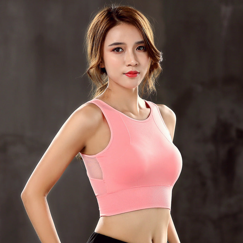 Mesh Sports