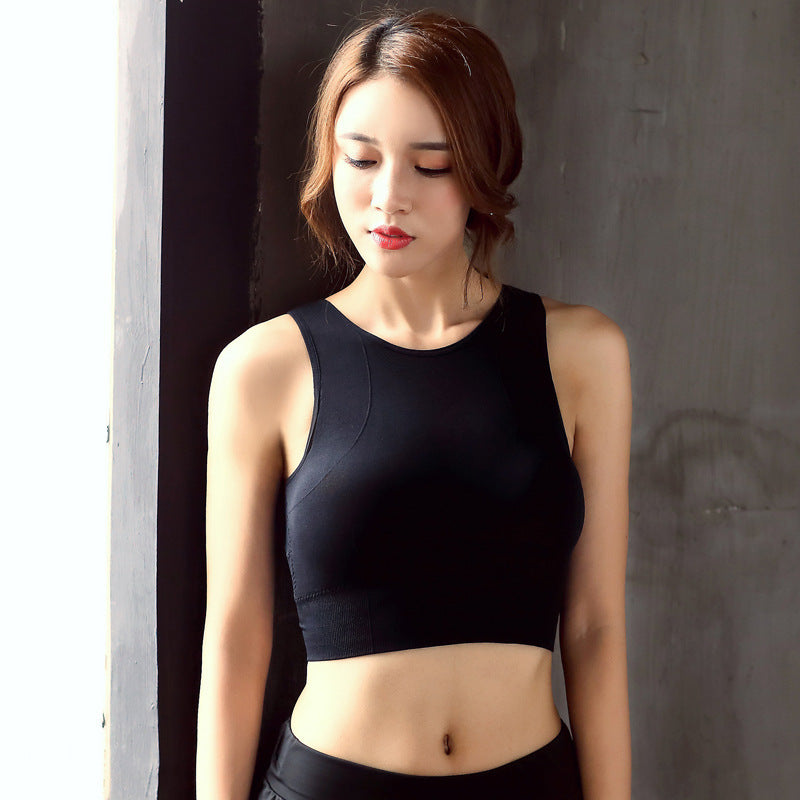 Mesh Sports