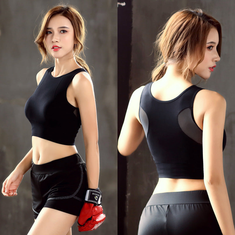 Mesh Sports